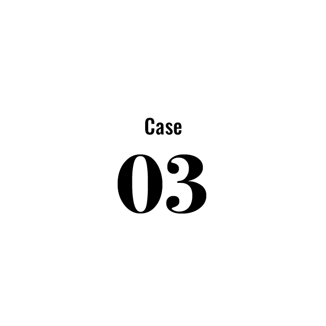 Case 03