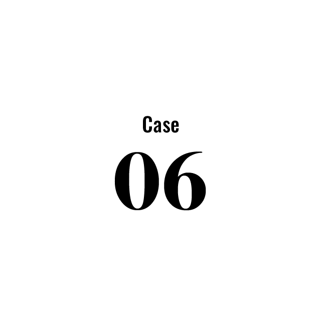 Case 06